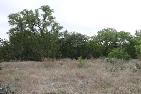 Saddle Ridge Dr. Drive, Bertram, TX 78605 photo 9