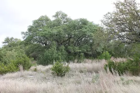 Saddle Ridge Dr. Drive, Bertram, TX 78605 photo 8