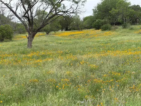 317 Sweetgrass, Horseshoe Bay, TX 78657