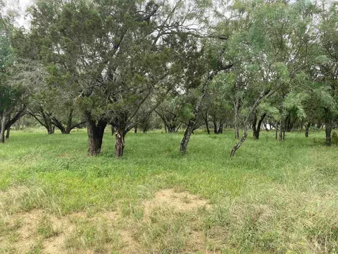 tbd Driftwood Ln, Cottonwood Shores, TX 78657