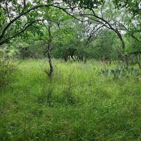 lot S 521 522 Lake Dr, Granite Shoals, TX 78964
