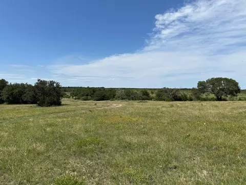 Unk County Road 330, Bertram, TX 78605 photo 9