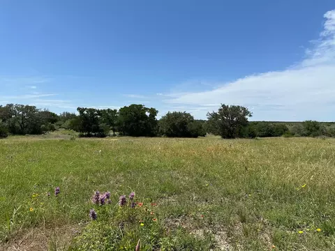Unk County Road 330, Bertram, TX 78605 photo 4