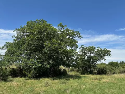 Unk County Road 330, Bertram, TX 78605 photo 3