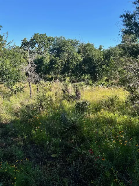 0 Castlelake Dr, Granite Shoals, TX 78654