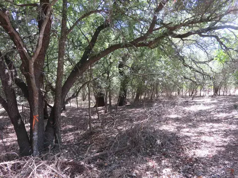 606 Sandy Mountain Dr, Sunrise Beach, TX 78643