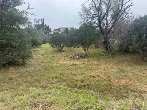 Lt W35068 Blue Fox, Horseshoe Bay, TX 78657
