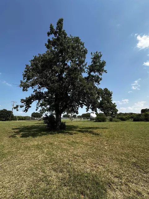 415 Eldorado St, Tow, TX 78672 photo 2