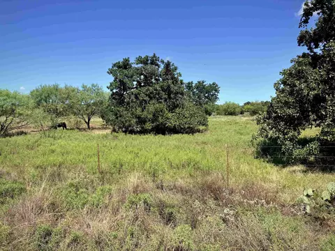 Buffalo Spring Circle, Valley Spring, TX 76885 photo 11