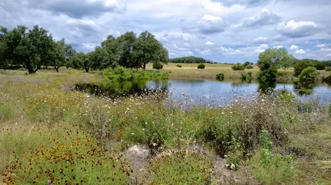 1 Tbd W Cr 224, Lampasas, TX 76550