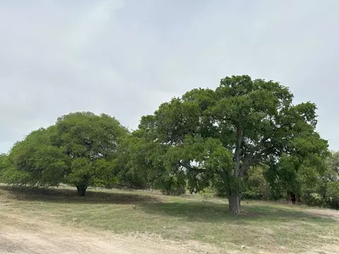 Other - Unk County Road 330, Bertram, TX 78605 photo 3 of 10