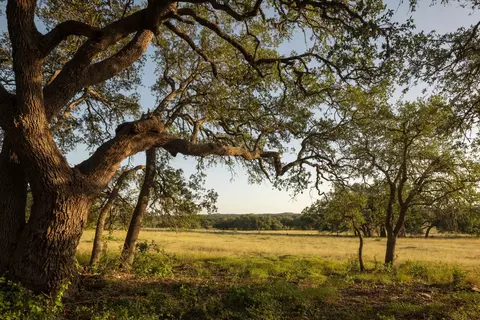 2427 Prochnow Rd, Dripping Springs, TX 78620