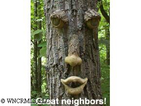 214 Hideaway Crk, Clyde, NC 28721 photo 1
