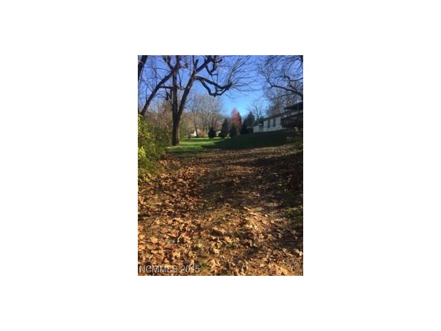 7 Liner St, Canton, NC 28716 photo 1