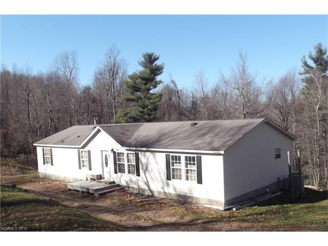 240 Pace Mountain Rd, Saluda, NC 28773 photo 1
