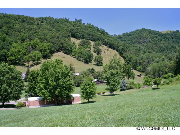 4046 Liner Creek Rd, Clyde, NC 28721 photo 1
