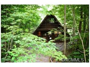331 Chriscott Ln, Saluda, NC 28773 photo 1
