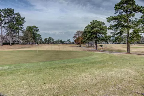 321 Olde Point Loop, Hampstead, NC 28443 photo 37