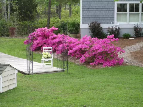 1459 Royal Tern Dr, Hampstead, NC 28443 photo 62
