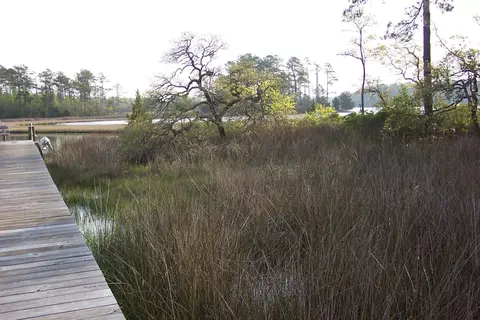 1459 Royal Tern Dr, Hampstead, NC 28443 photo 43
