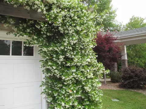1459 Royal Tern Dr, Hampstead, NC 28443 photo 34