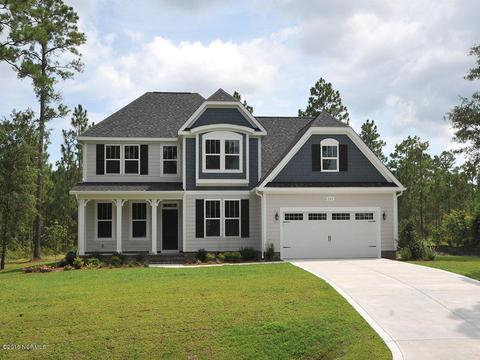 201 Orchard Mill Rd, Hampstead, NC 28443 photo 1