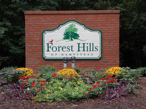 201 Orchard Mill Rd, Hampstead, NC 28443 photo 35