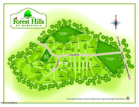 201 Orchard Mill Rd, Hampstead, NC 28443 photo 37
