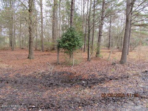 3078 Shiloh Rd, Willard, NC 28478 photo 13