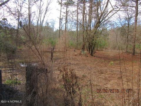 3078 Shiloh Rd, Willard, NC 28478 photo 4