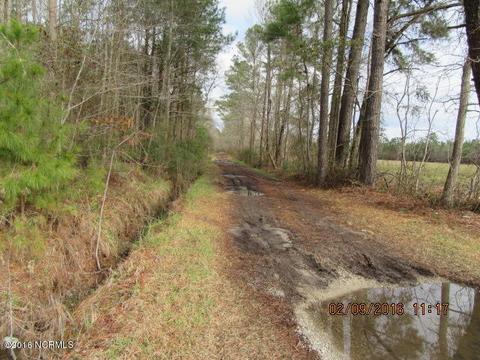3078 Shiloh Rd, Willard, NC 28478 photo 10