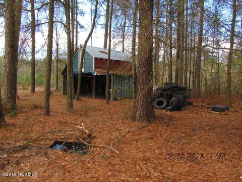 3078 Shiloh Rd, Willard, NC 28478 photo 3