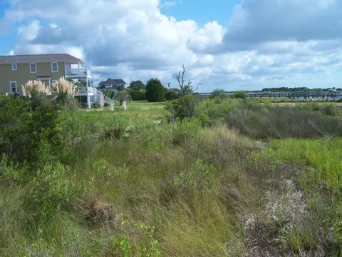 277 Loder Ave, Wilmington, NC 28409 photo 8
