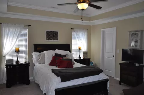 705 Emerald Park Dr, Winterville, NC 28590 photo 13