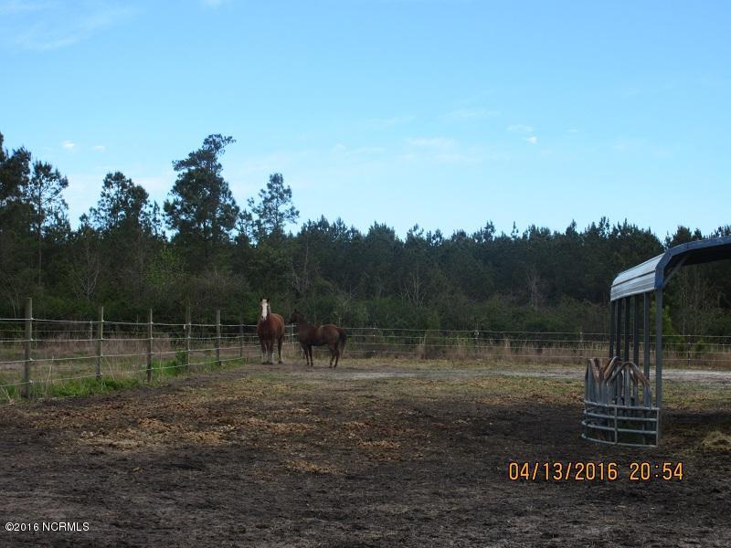 3596 Point Caswell Rd, Atkinson, NC 28421 photo 40