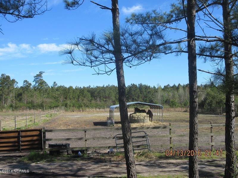 3596 Point Caswell Rd, Atkinson, NC 28421 photo 12