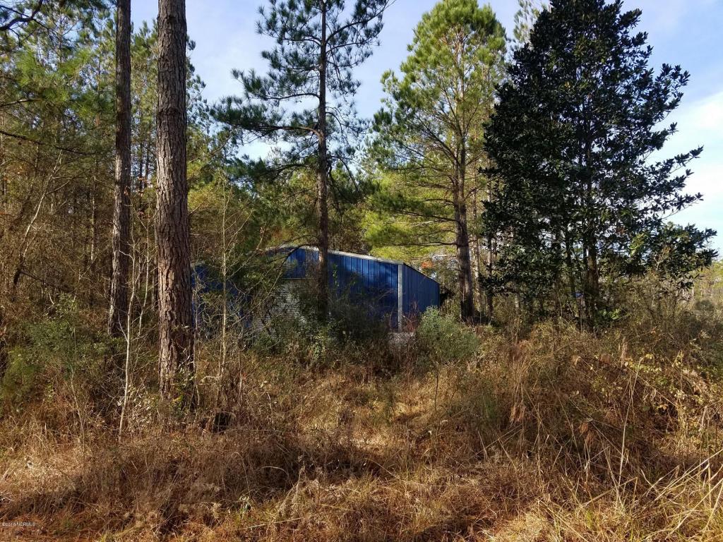 3596 Point Caswell Rd, Atkinson, NC 28421 photo 44