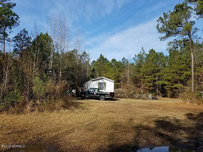 3596 Point Caswell Rd, Atkinson, NC 28421 photo 45