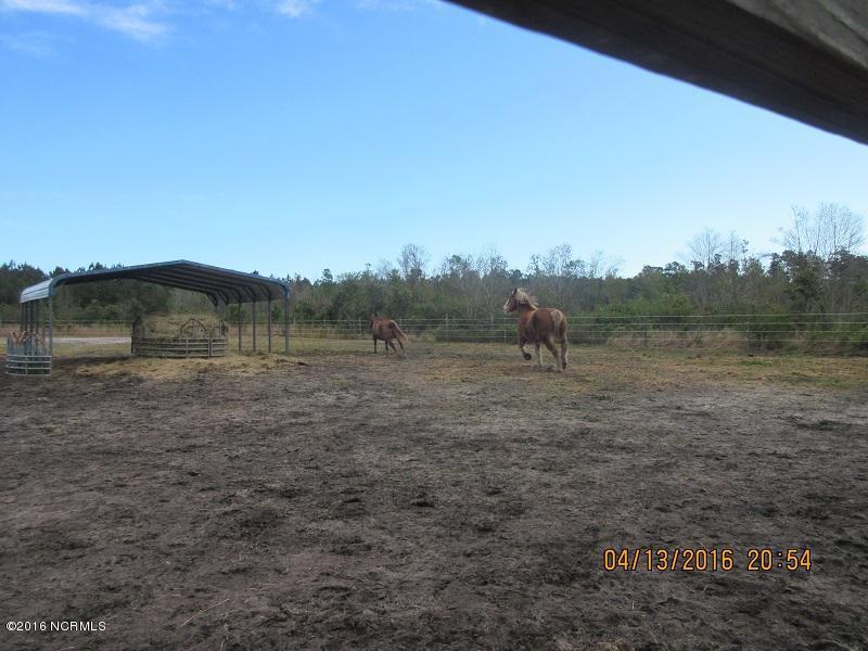 3596 Point Caswell Rd, Atkinson, NC 28421 photo 42