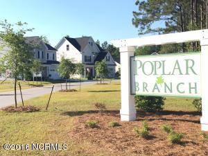 306 Summer Ducks Dr, Hampstead, NC 28443 photo 2