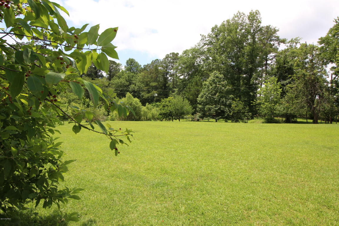 62 Crisp Landing Rd, Chocowinity, NC 27817 photo 25