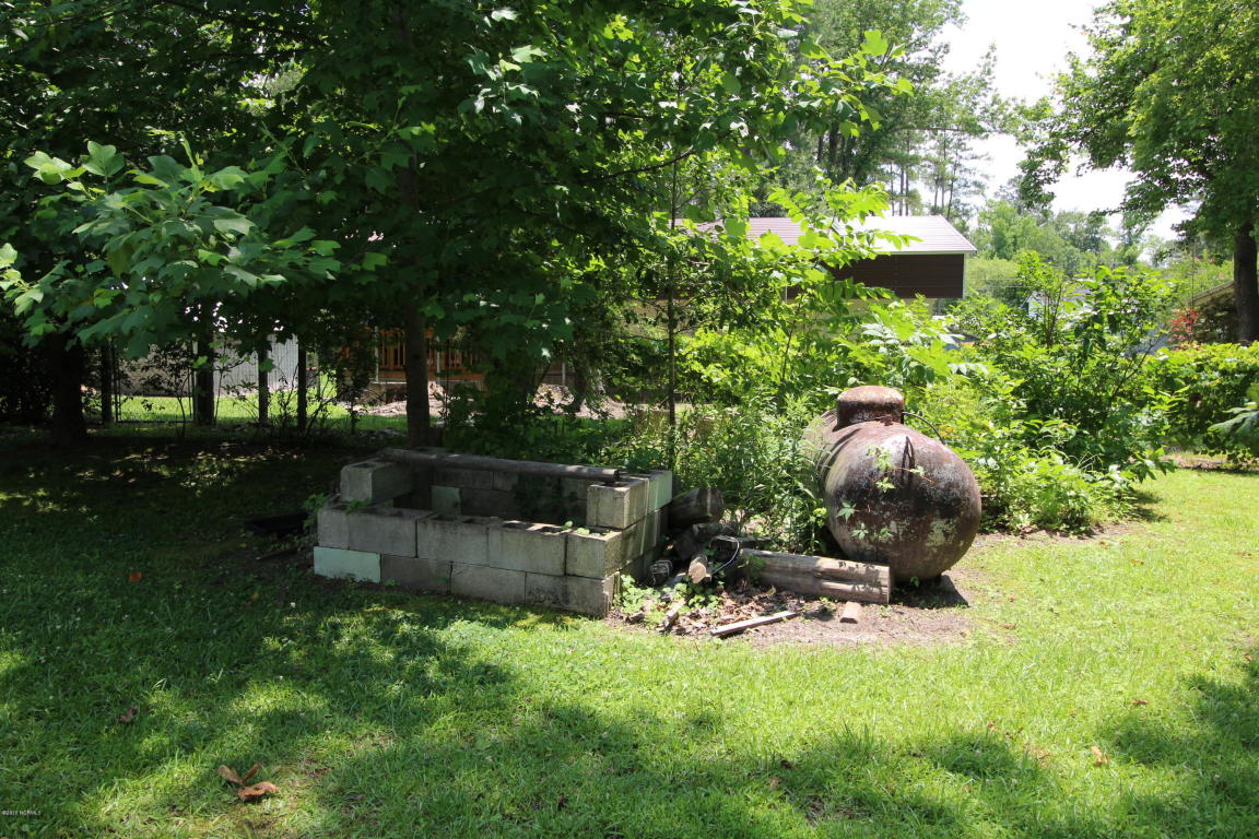 62 Crisp Landing Rd, Chocowinity, NC 27817 photo 13