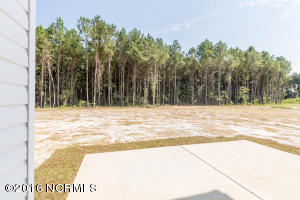 112 Ransom Dr, Hampstead, NC 28443 photo 41