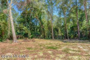 752 Gregory Fork Rd, Richlands, NC 28574 photo 27