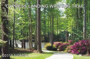 302 Choptank Dr, Chocowinity, NC 27817 photo 54