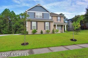 110 Osier Dr, Hampstead, NC 28443 photo 28