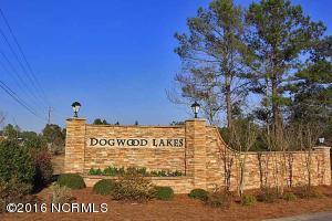 110 Osier Dr, Hampstead, NC 28443 photo 38