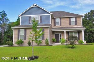 110 Osier Dr, Hampstead, NC 28443 photo 27