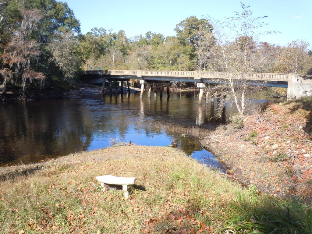 91 Enzor St, Fair Bluff, NC 28439 photo 27