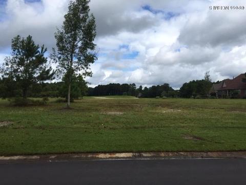 109 Firefly Dr, Wallace, NC 28466 photo 2